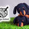 Dachshund-Graphics-26871715-1-1-580x387.jpg