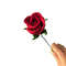 Rose-bud-Graphics-30120974-3-580x406.jpg