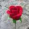 Rose-bud-Graphics-30120974-4-580x387.jpg