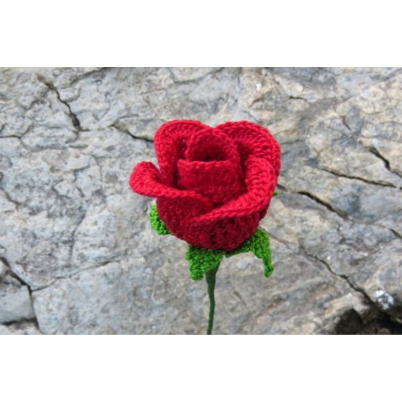 Rose-bud-Graphics-30120974-4-580x387.jpg