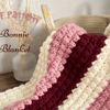 Bonnie-Baby-Blanket-Crochet-Pattern-Graphics-82380709-580x387.png
