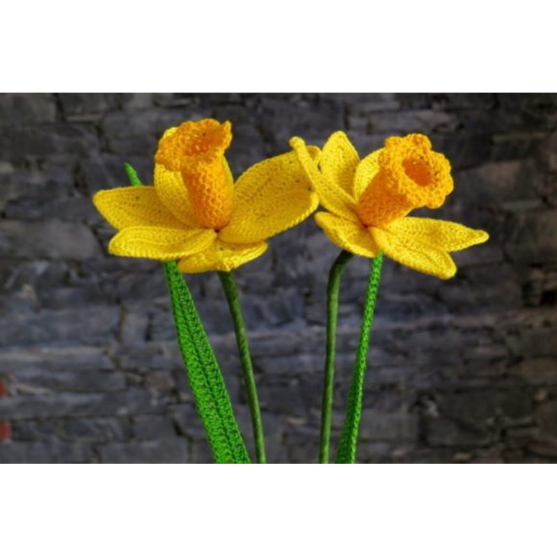 Daffodil-Graphics-30090974-1-1-580x387.jpg