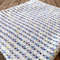 Sherbet-Baby-Blanket-Crochet-Pattern-Graphics-13013475-1-1-580x435.jpg