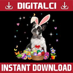 Cute Boston Terrier Easter Day Bunny Eggs Easter Easter Day Png, Happy Easter Day Sublimation Design111
