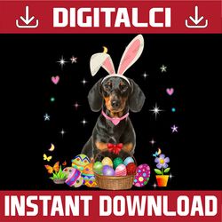 Cute Dachshund Easter Day Bunny Eggs Easter Costume Easter Day Png, Happy Easter Day Sublimation Des149