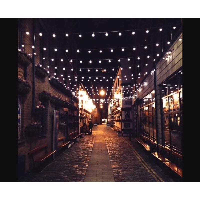 Damascus Steel Chef Knife 8 Inch Professional Kitchen Knife Handcrafted With Pakkawood Handle 0