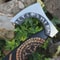 Custom Engraved Viking Hatchet Norse Rune Axe Collector Gift With Leather Cover 5