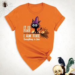 it is fine i am fine everything is fine cat, sarcastic shirt, halloween broom shirt, motivational shirt, cat lover gift,