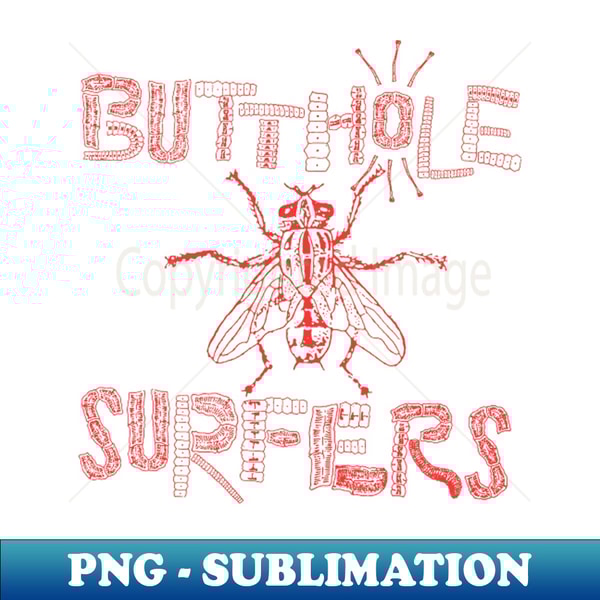 IQ-10616_Butthole Surfers 1482.jpg