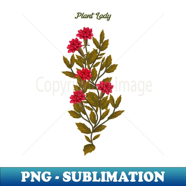 HN-4855_Plant Lady Flower 3227.jpg