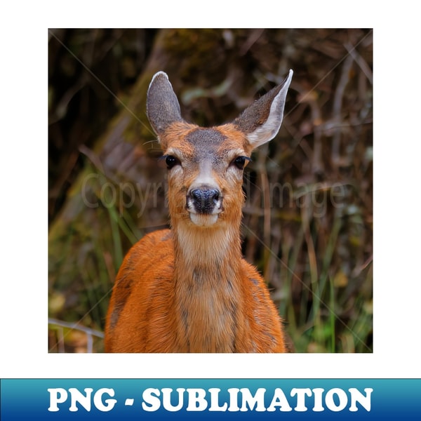 Cute Blacktail Deer Smile - Unique Sublimation PNG Download - Unleash Your Inner Rebellion