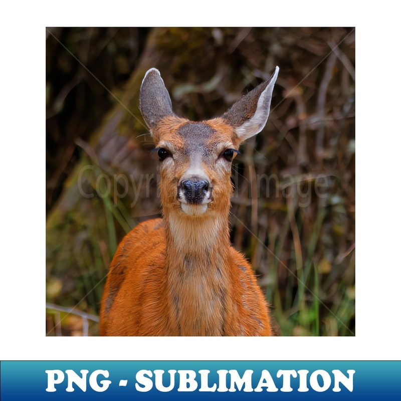 Cute Blacktail Deer Smile - Unique Sublimation PNG Download - Unleash Your Inner Rebellion