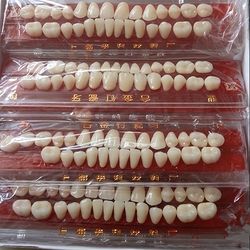 28pcs/set Resin Teeth Dental Materials Colors Shade Guide Teeth Oral Material Resin Teeth Model False Teeth, Best doctor