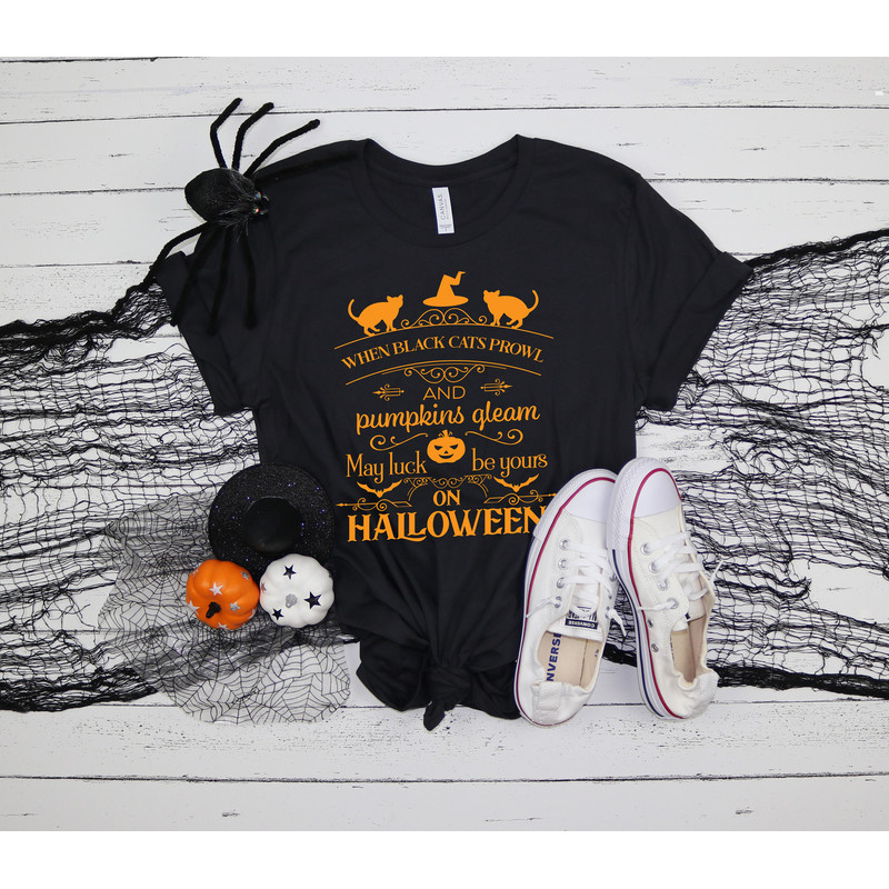 Black Cat Halloween Shirt, Funny Halloween Shirts, Witch Shirt, Hocus Pocus Shirt, Basic Witch Shirt, Happy Halloween Shirt.jpg