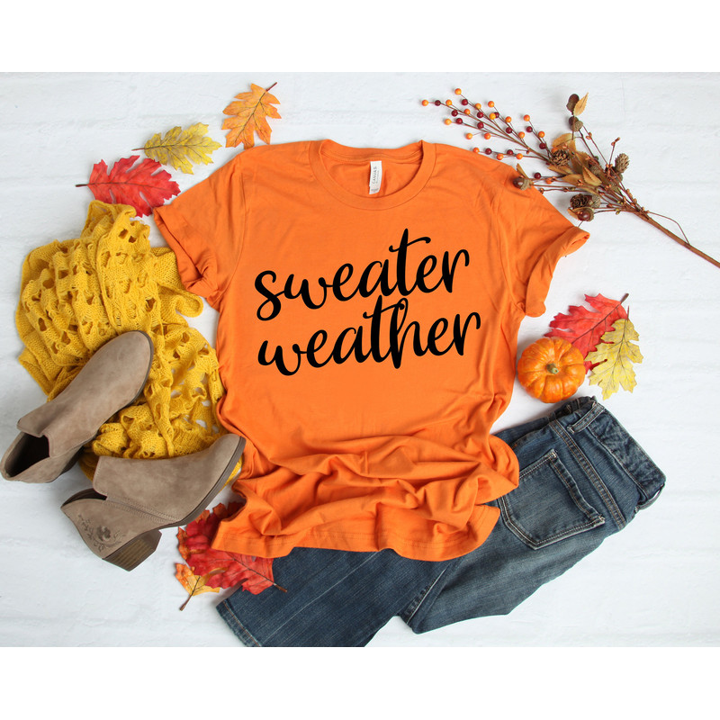 Sweater Weather Shirt,Thankful Fall, Fall Shirt,Fall Family Shirts, Thanksgiving Shirts, Blessed Shirt,Cute Fall Shirt 1.jpg