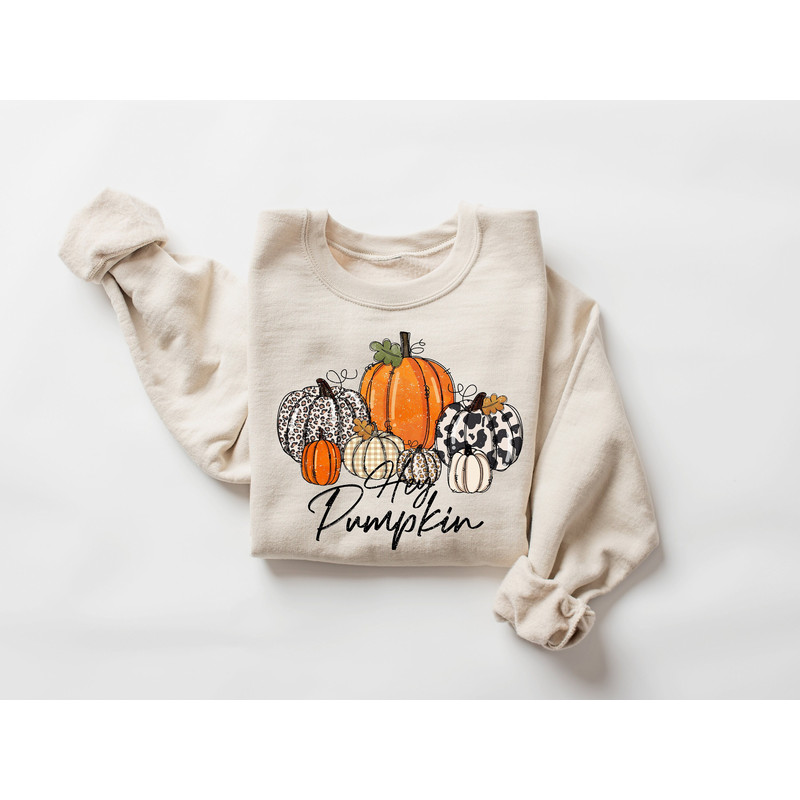 Fall Shirt for Women Thanksgiving Shirt, Hey Pumpkin Shirt, Thanksgiving Sweatshirt Cute Thanksgiving Sweater Pumpkin Sweatshirt Long Sleeve.jpg