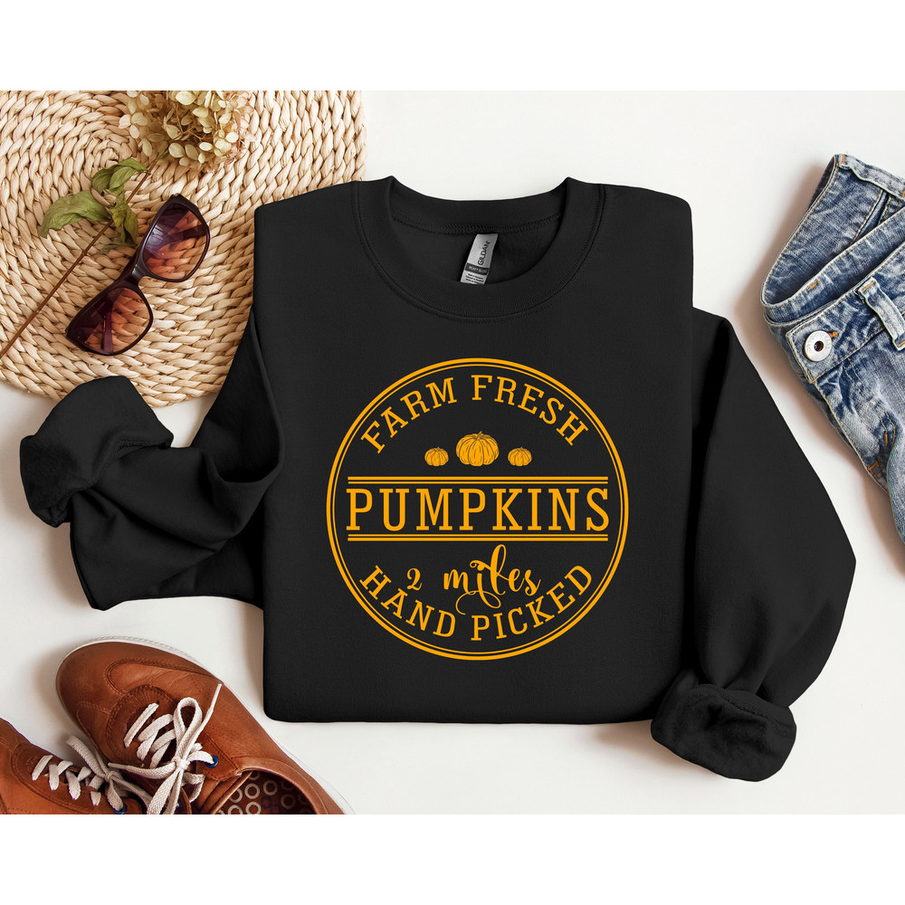 Hand Picked Pumpkin Shirt, Farm Fresh Shirt, Thanksgiving Sweatshirt, Pumpkin Autumn T Shirt, Fall Season Shirt, Thanksgiving Gift for Her.jpg