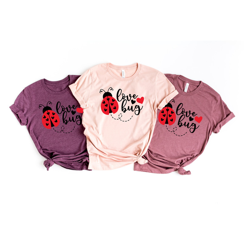 Love Bug Shirt,Lady Bird Valentines,Valentines Day Shirt For Woman,Heart Shirt,Cute Valentine Shirt,Shirt,Valentines Day,Valentines Matching.jpg