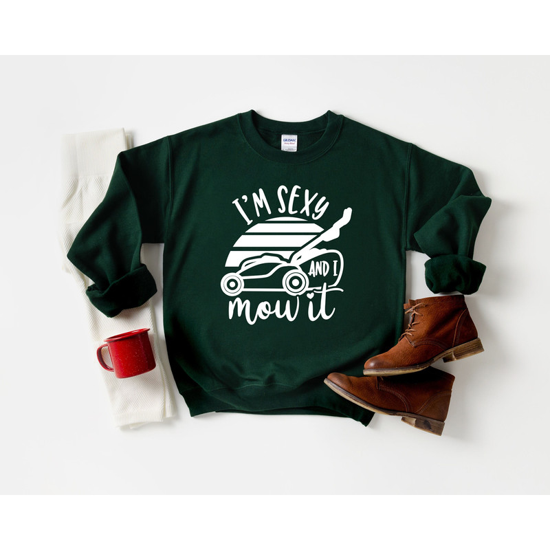 I Am Sexy and I Mow It TShirt, Fathers Day Shirt Gift, Dad Gift, Father's Day Gift, New Shirt for Dad, Husband Gift, Humorous Father Shirt.jpg