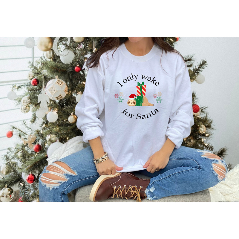 I Only Wake For Santa Sweatshirt, Funny Christmas Sweater, Christmas Sloth Sweatshirt, Xmas Party Shirt, Christmas Gift, Merry Christmas.jpg
