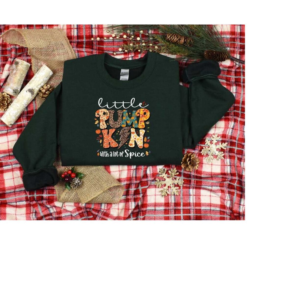 Little Pumpkin Shirt, Cute Pumpkin Sweatshirt, Fall Sweatshirt, Fall Lover Shirt, Fall Gift, Autumn Sweater, Women Fall.jpg
