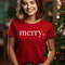 Christmas Shirt, Merry Christmas Shirt, Christmas Shirt for Women, Christmas Crewneck Shirt, Holiday Sweater, Christmas Gift.jpg