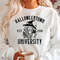 Halloweentown University Est 1998 Sweatshirt, Halloween Town Hoodie, Halloweentown 1998 Shirt, Halloween Witch, Fall Sweatshirt 1.jpg