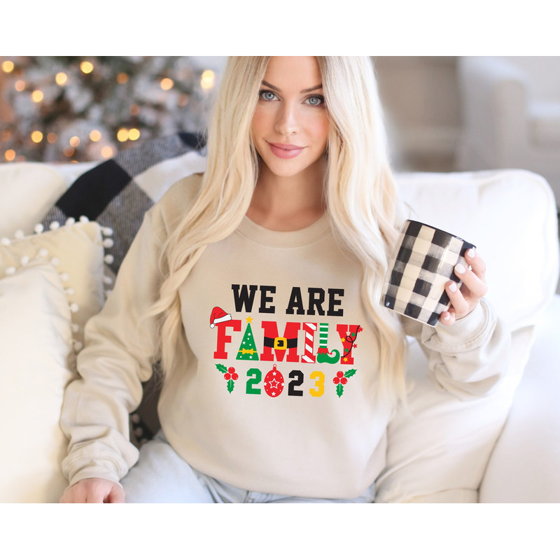 We Are Family Christmas Sweatshirt,Matching Family Christmas Sweatshirts,Matching Christmas 2023 Hoodies,Matching Xmas Tees.jpg