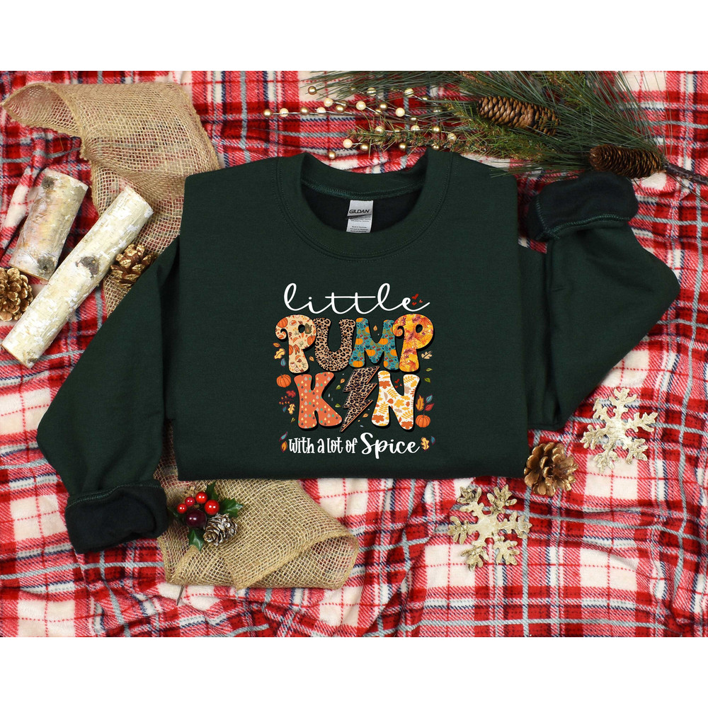 Little Pumpkin Shirt, Cute Pumpkin Sweatshirt, Fall Sweatshirt, Fall Lover Shirt, Fall Gift, Autumn Sweater, Women Fall Shirt, Women Gift.jpg