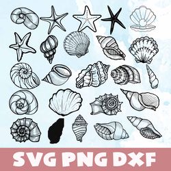 seashell svg,png,dxf, seashell bundle svg, png,dxf,vinyl cut file,png, cricut