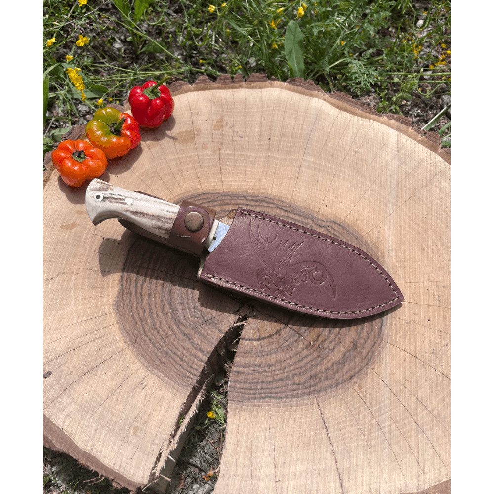 Personalized Deer Horn Hunting Knife Full Tang 12 4116 Stainless Steel Blade Leather Sheath Cust 1