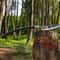 High Carbon Steel Viking Spear Handmade 36 Warrior Collector Display Piece 3