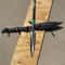 Artisan Crafted Display Spear With Rosewood Finish Resin And Metal Detailing 5