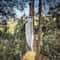Premium Handmade Bowie Knife High Carbon Steel Blade With Rosewood Handle 0