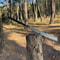 Premium Handmade Collector Spear High Carbon Steel With Rosewood Handle Leather Wrap 1