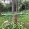Premium Handmade Medieval Sword With Rosewood Handle Leather Sheath 3