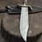 Handmade Damascus Bowie Knife Stag Horn Handle Leather Sheath Gift For Hunters 3