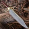 Handmade Damascus Steel Bowie Knife Wood Handle Leather Sheath Gift For Hunters 1