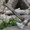 Hand Forged High Carbon Steel Viking Axe Norse Engravings 18 Inch Wooden Handle Gift For Men 2