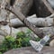 Hand Forged High Carbon Steel Viking Axe Norse Engravings 18 Inch Wooden Handle Gift For Men 2