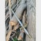 Hand Forged Highlander Sword Toledo Salamanca Replica With Scabbard Gift For Collectors 0