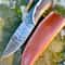 Hand Forged Stag Handle Hunting Knife High Carbon Steel Blade Gift For Hunters 2