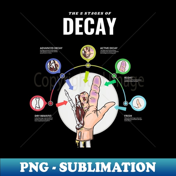 Stages of Decay Forensic Science - Medical examiner - Inspire Uplift