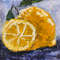 Lemon Original Art Fruit Painting Small Wall Art With Frame By ArtNastPos 3