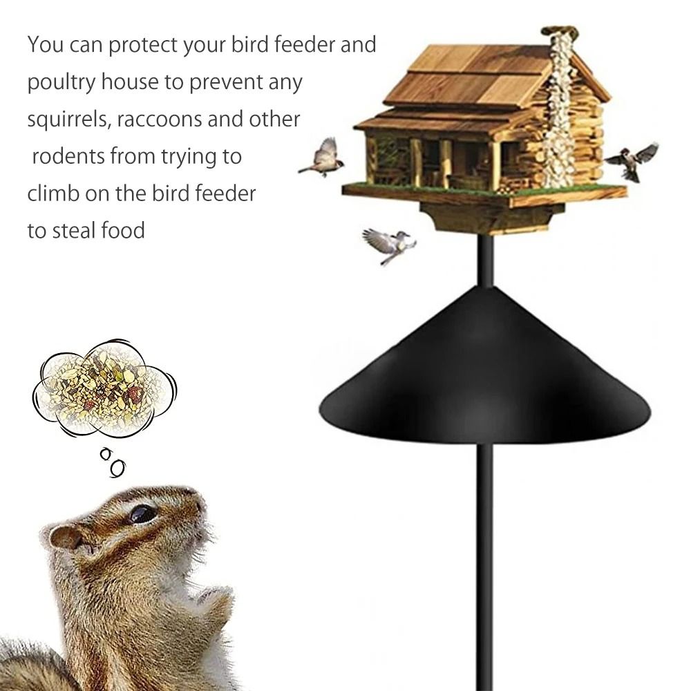 Best Squirrel Guard for Bird Feeders