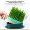 Pet Cat Sprout Dish Growing Pot Hydroponic Cat Grass Germination Kit For Digestion Greenhouse Grow