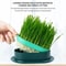 Pet Cat Sprout Dish Growing Pot Hydroponic Cat Grass Germination Kit For Digestion Greenhouse Grow