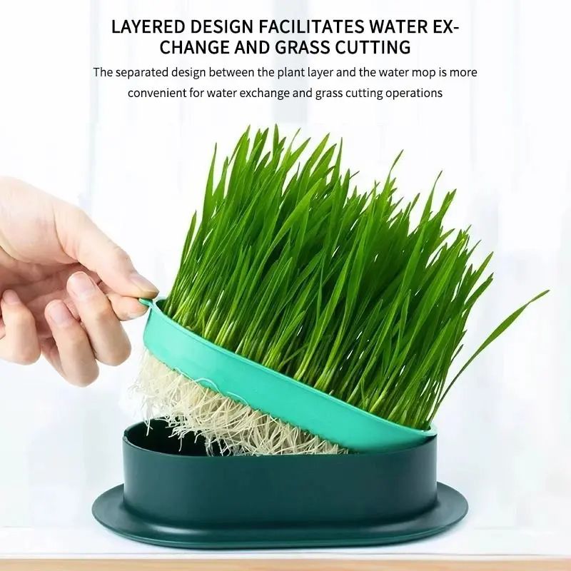 Pet Cat Sprout Dish Growing Pot Hydroponic Cat Grass Germination Kit For Digestion Greenhouse Grow