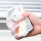 5 Sets DoubleSided Cleaning Sponge Honeycomb Dishwashing Sponge For Household Cleaning  Decontamina 0