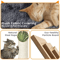 Cat Tree Tower Condo Activity Centre For Indoor Cats MultiLevel Scratching Post Kitten Playhouse C 4